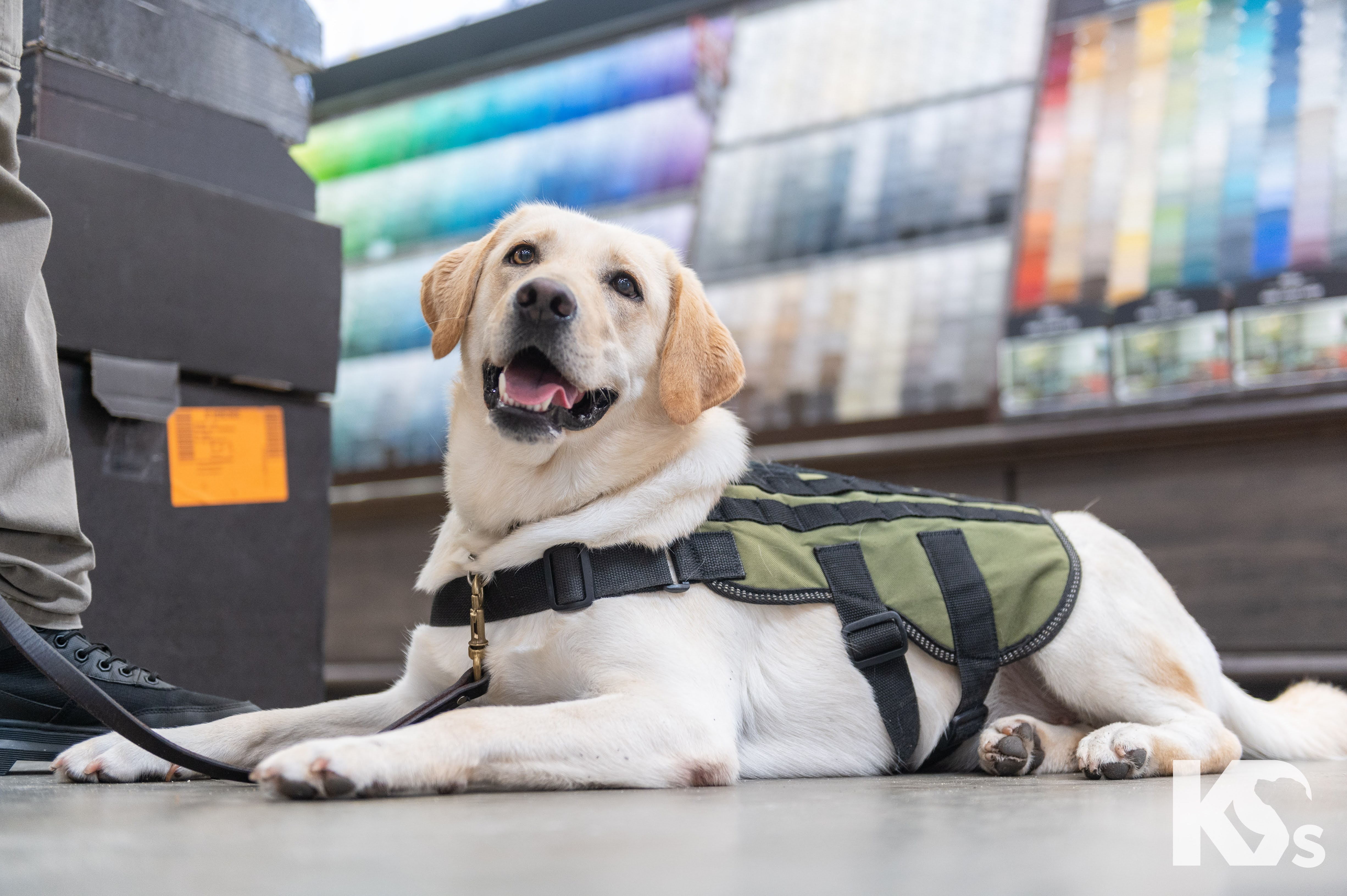 K9 handler with service dog